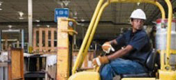 Forklift Training Hamilton